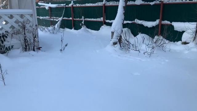 VID_20260127_171257 смотреть онлайн