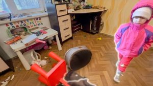 МЫ в СТУПОРЕ! Люська вышла из вольера и выпустила Соню и Жору и они РАЗОБРАЛИ в доме ВСЁ!