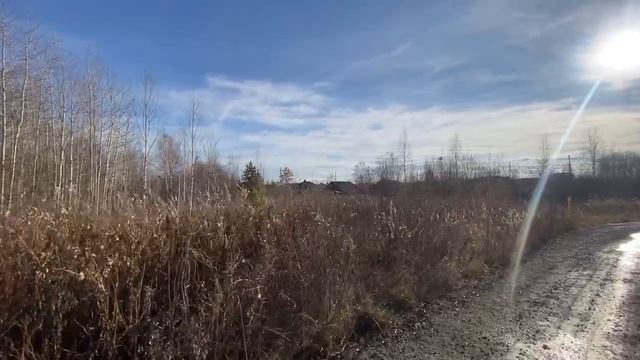 IMG_1304 смотреть онлайн