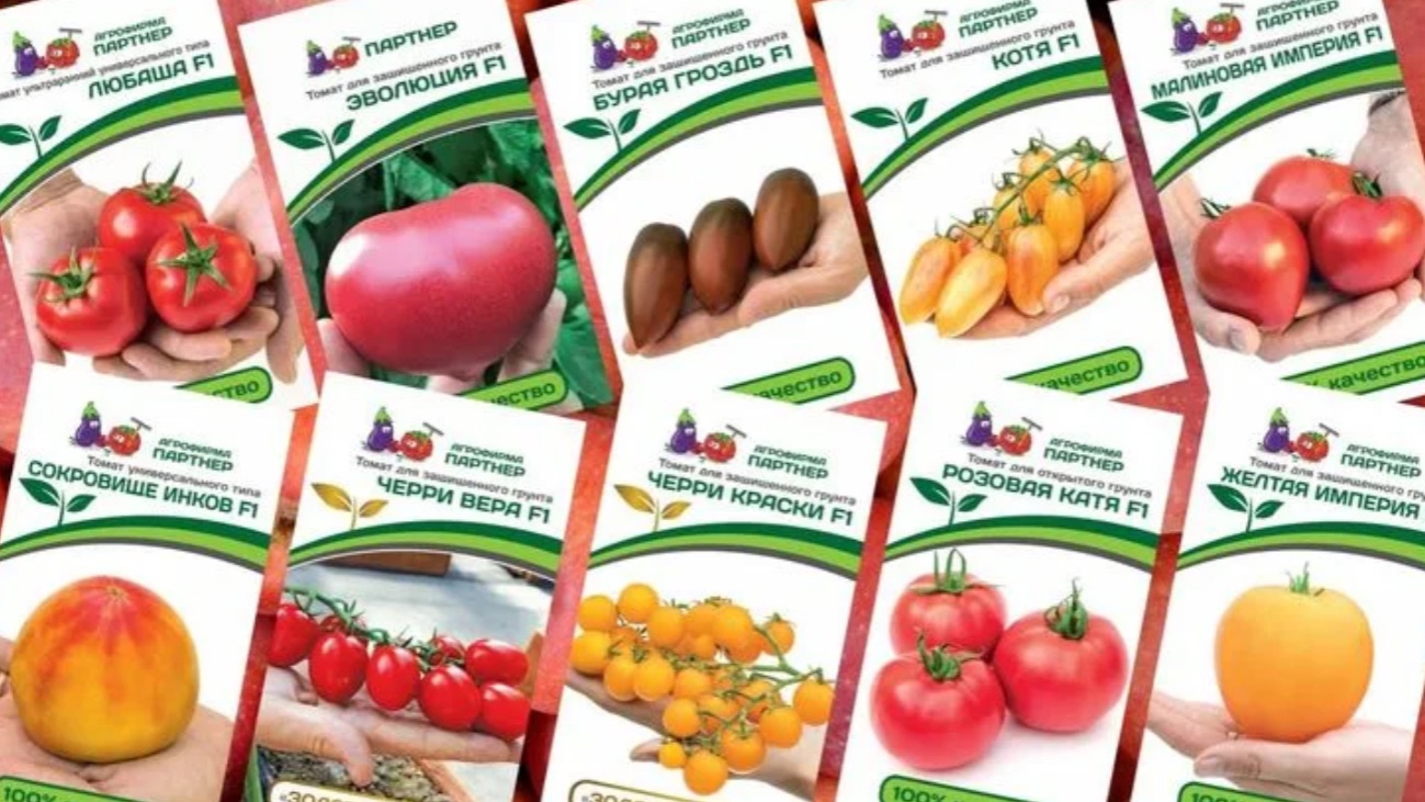 Агрофирма Партнер . Обзор томатов на 2026 сезон смотреть онлайн