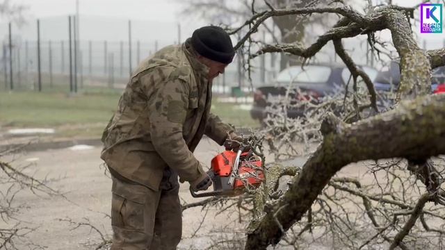 Специалисты службы городского хозяйства продолжают уход за городскими зелёными зонами смотреть онлайн