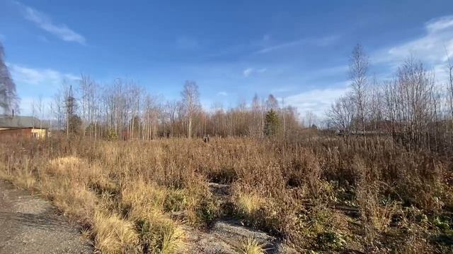 IMG_1305 смотреть онлайн