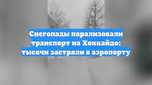 Снегопады парализовали транспорт на Хоккайдо: тысячи застряли в аэропорту