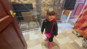 Вы РАНЬШЕ ЭТОГО НЕ ВИДЕЛИ, как Сонечка играет с Ангелиной! Люся  по -богатому едет гулять!