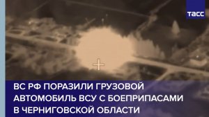 ВС РФ поразили грузовой автомобиль ВСУ с боеприпасами в Черниговской области