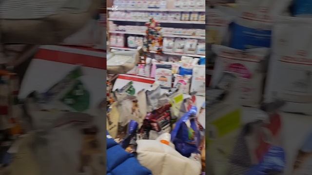 Зашла со Снежком в зоомагазин, а он оказался магазином подписчицы смотреть онлайн