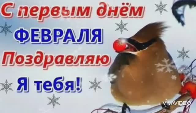 ДОБРОЕ УТРО. С ПОСЛЕДНИМ МЕСЯЦЕМ ЗИМЫ ! смотреть онлайн