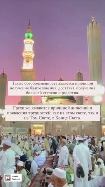 О богобоязненности и грехах. Шейх Шамиль аш-Шафи'ий. смотреть онлайн