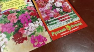 СЕЮ ПЕЛАРГОНИЮ ПЛЮЩЕЛИСТНУЮ.