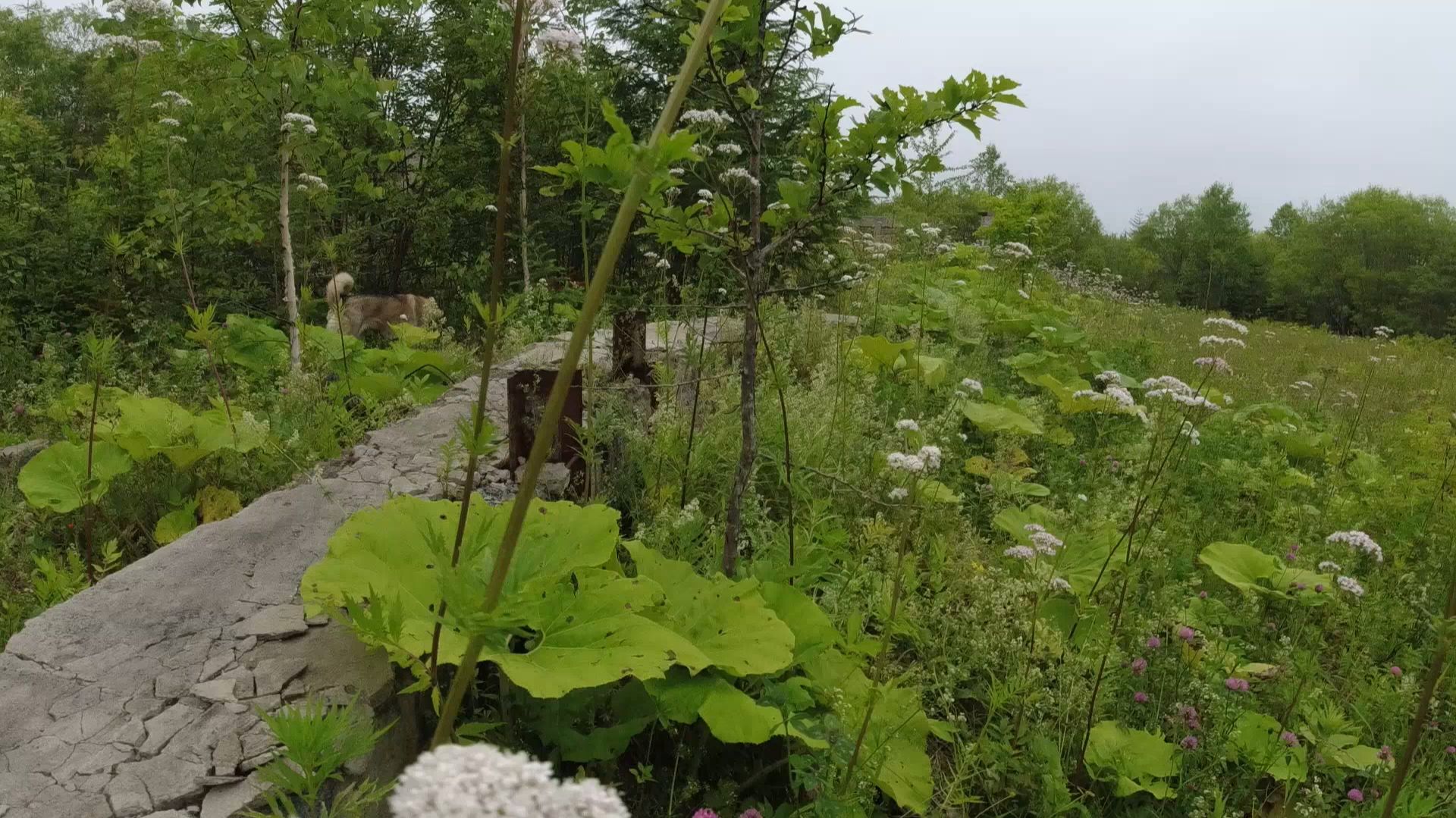 За металлом с ночёвкой к морю смотреть онлайн