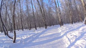 27-01-2026 прогулка по парку Тищенко