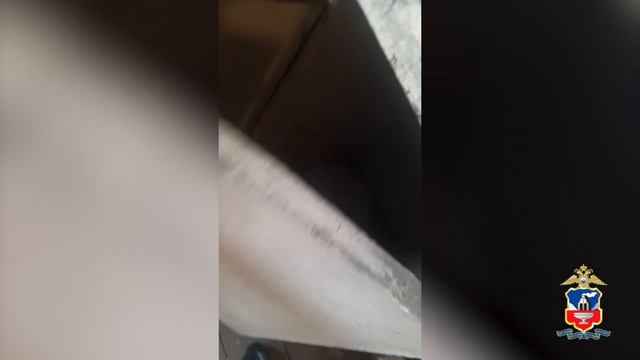 В Алтайском крае полиция уличила 40-летнего жителя Камня-на-Оби в хранении 2,5 кг «дурман-травы» смотреть онлайн