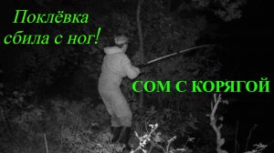 Ночная рыбалка на донку! #клёвыйкадр #ночнаярыбалка #рыбалканасома #рыбалканадонку #сом