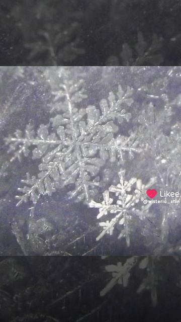 крд смотреть онлайн