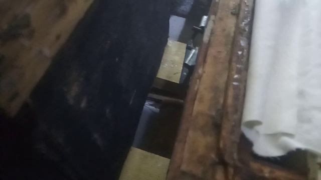 Состояние пчелосемей на конец января . Зимуем . смотреть онлайн