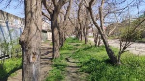 Один из дней города Евпатории | 22 апреля 2021 г | Крым | ХАН БАТОН XAH 6ATOH | VID_20210422_141106