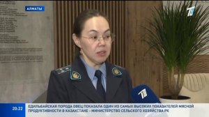 Клиенты автосалонов в Казахстане массово сталкиваются с машинами с перебитыми VIN-кодами.mp4