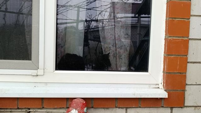 Кто куда а мы по делам смотреть онлайн