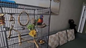 У Коли в гостях