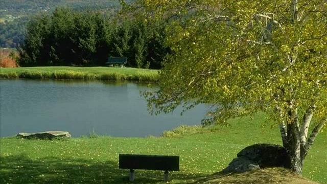 Анахата чакра