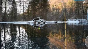 Звуки природы🌿 Пение Птиц🐦 Рыбалка🎣 Отдых