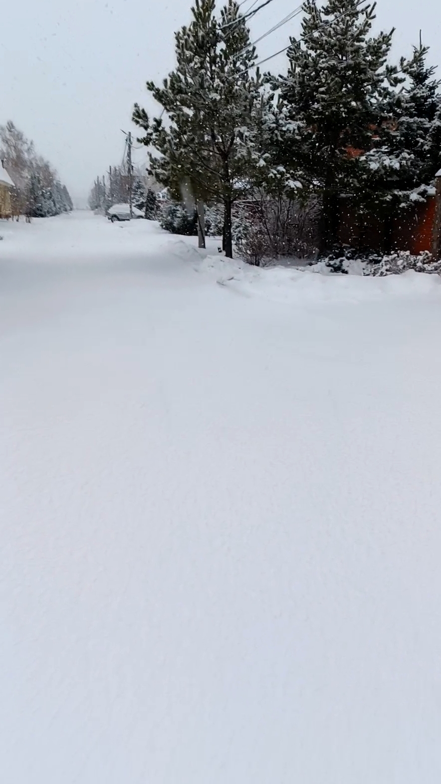 Красота в Сибири смотреть онлайн