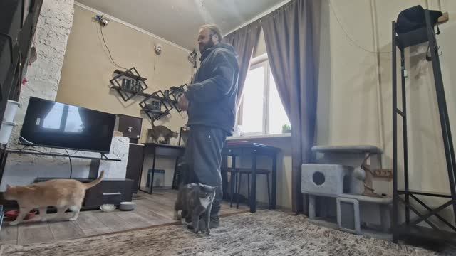 Наши любимые домашние животные ПОДВАЛ ИЛЬИЧА ежедневное утро где-то далеко в Сибири смотреть онлайн