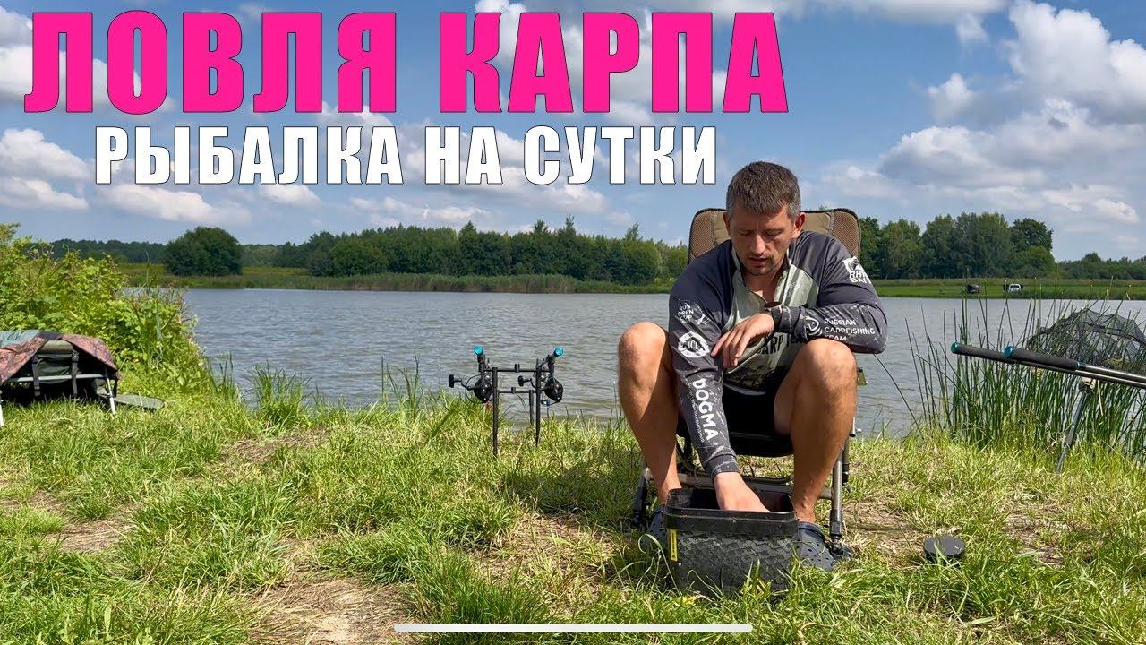 Как поймать МНОГО карпа на суточной рыбалке? Карпфишинг 2025 смотреть онлайн