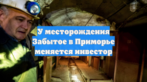 У месторождения Забытое в Приморье меняется инвестор