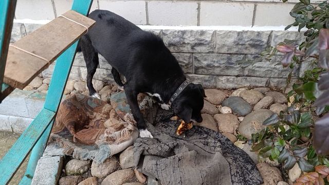 Бебик самый хитрый смотреть онлайн