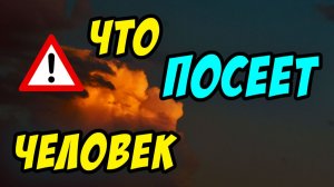 Что посеет человек - Василий Савич. Христианские проповеди