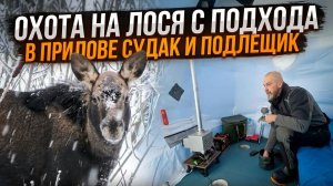 ОХОТА НА ЛОСЯ С ПОДХОДА В ПРИЛОВЕ СУДАК И ПОДЛЕЩИК..ЧАСТЬ 1