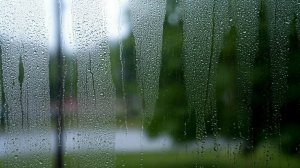 Как убрать конденсат в формикарии (дворце). Заселение в новый формикарий (дворец).