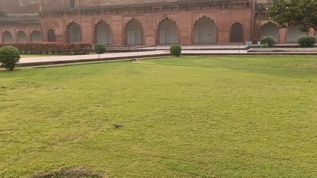 Бурундуки на газонах! смотреть онлайн