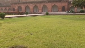 Бурундуки на газонах!