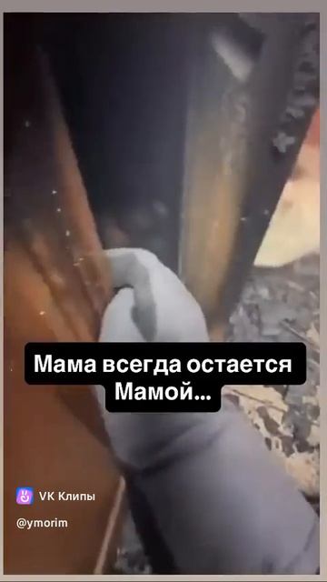 Мама всегда остается Мамой смотреть онлайн