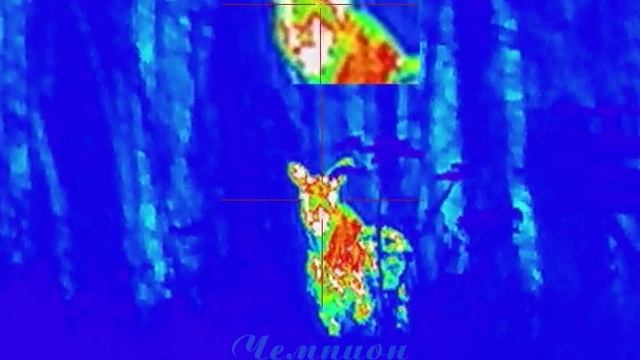 Лоси в прицеле Longot LY650 смотреть онлайн