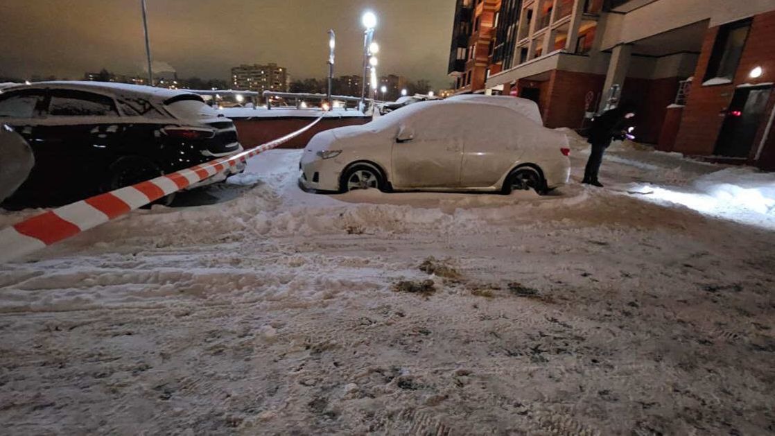 Убивший жену житель Подмосковья набросился с ножом на соседку-учительницу смотреть онлайн