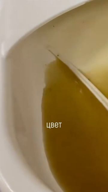 Зеленые воды смотреть онлайн