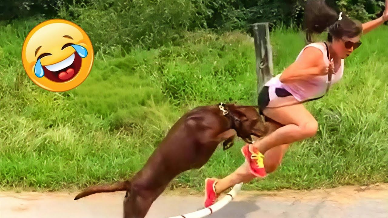 Сборник смешных и комедийных фильмов 🤣 2026 смотреть онлайн