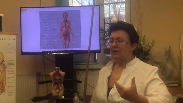 Это должен знать каждый - значение лимфатической системы. смотреть онлайн