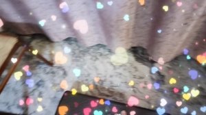 Платформа, была дочкина, стала моя)