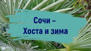 Сочи – Хоста и зима