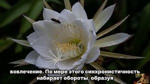 СЮРПРИЗ: Жизнь может подарить тебе любовь там, где не ждешь (лучшие выпуски 27.01.26 ч1)