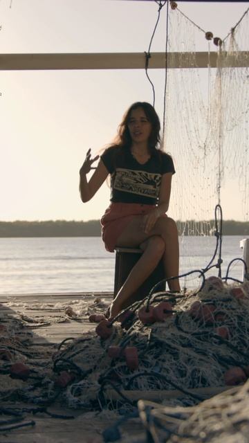 Какая ценность у живой акулы? смотреть онлайн