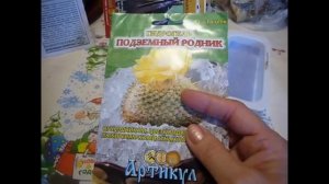 2173.  Сею сельдерей на ткань и в гель.