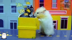 Маленький хомяк отправляется на работу, чтобы накопить денег на медицинские счета Люси!