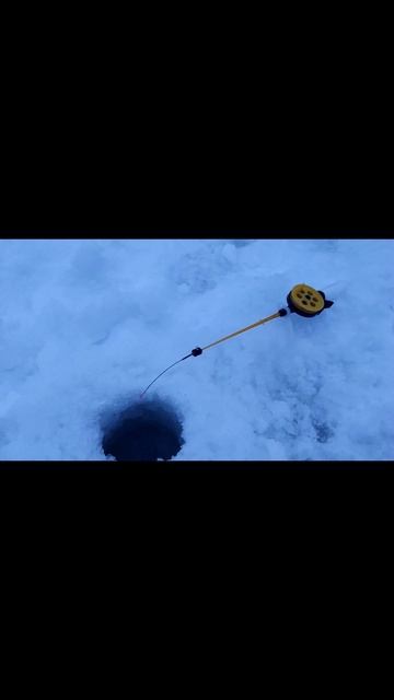 Царь рыба. смотреть онлайн