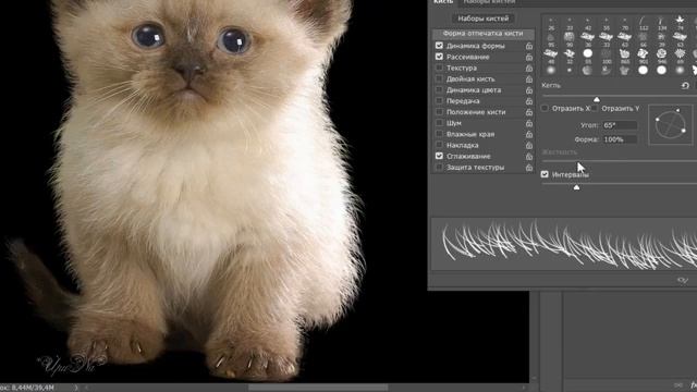 Урок № 6 от Ирины Выделяем котенка с шерстью в Photoshop смотреть онлайн
