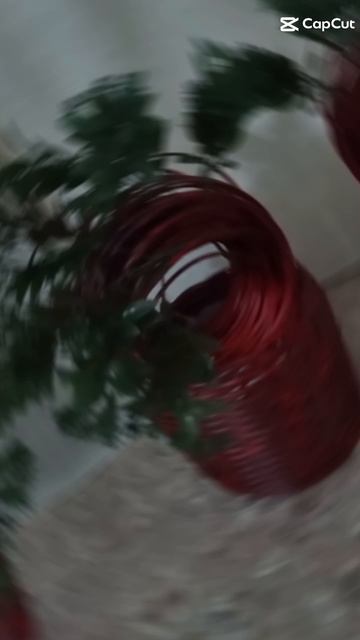 1000035039.mp4 смотреть онлайн